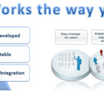 Bespoke Software Flex Development Social Application Development