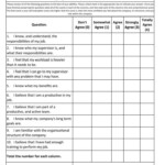 Employee Self Evaluation Form Employee Performance Review