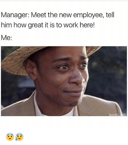 Manager Meet The New Employee Tell Him How Great It Is To Work Here Me 