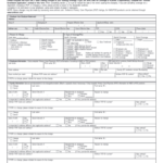 13 Payroll Change Form Pdf Free To Edit Download Print CocoDoc