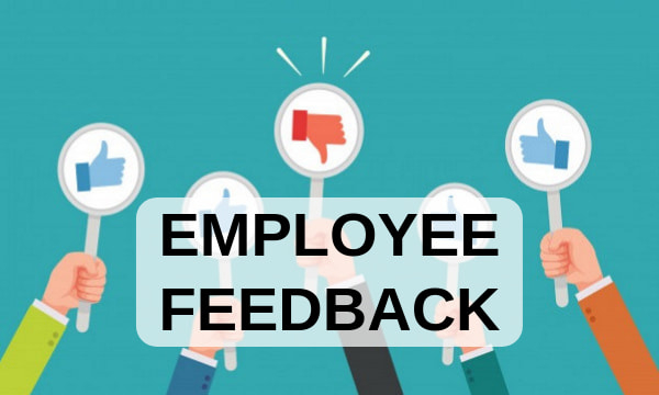 Giving Effective Employee Feedback Your Most Essential Management Tool