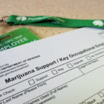 How To Get Your Colorado MED Badge And Start Working In Cannabis PotGuide