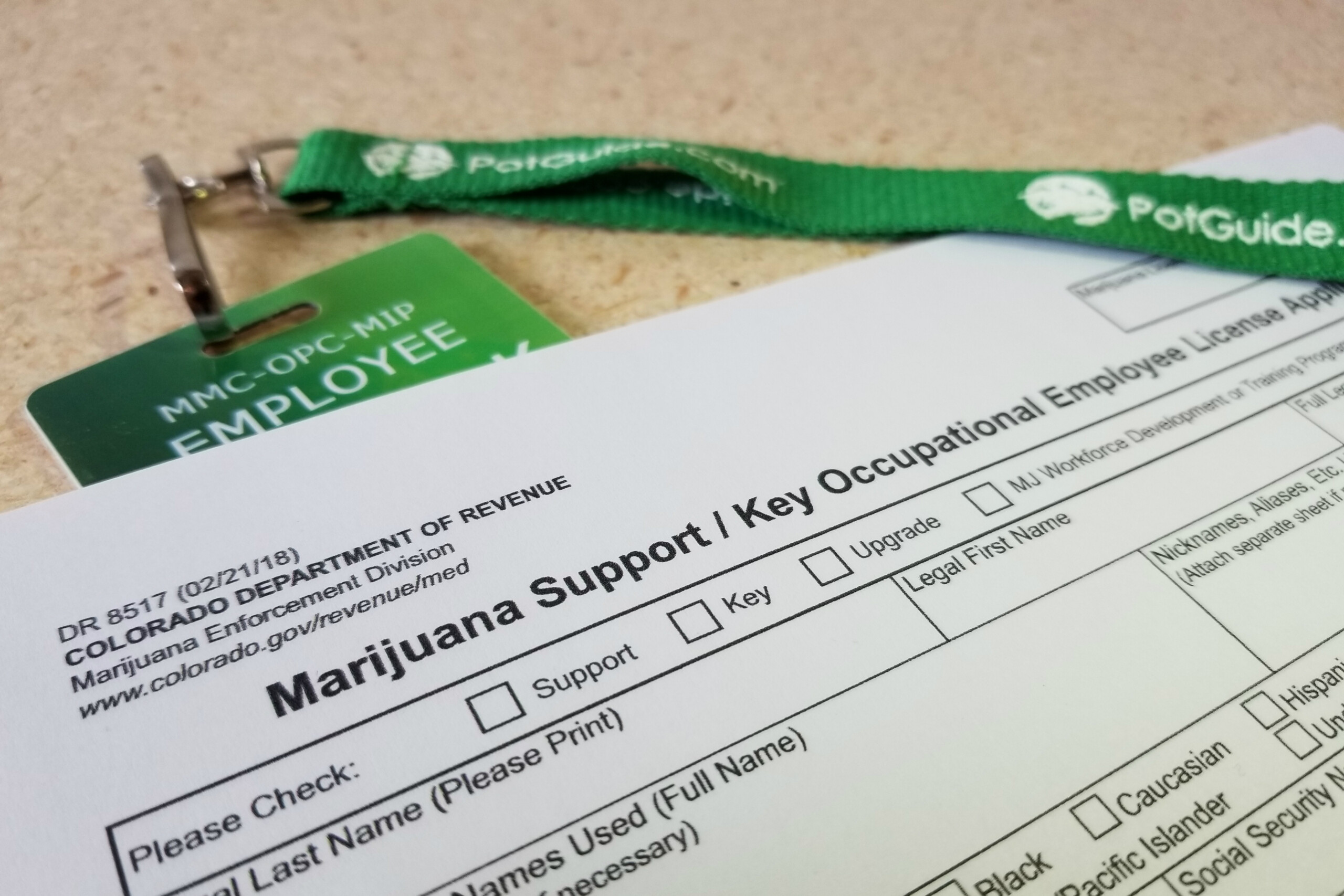 How To Get Your Colorado MED Badge And Start Working In Cannabis PotGuide