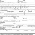 Subway Job Application Employment Application Job Application